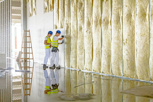 Best Geographic-Specific Insulation Services in Brent, FL